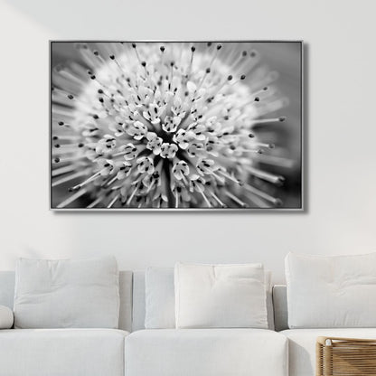 Stunning Button Bush Oil Painting in Monochrome - Elegant Abstract Floral Artwork