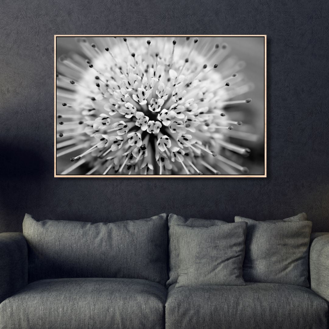 Stunning Button Bush Oil Painting in Monochrome - Elegant Abstract Floral Artwork