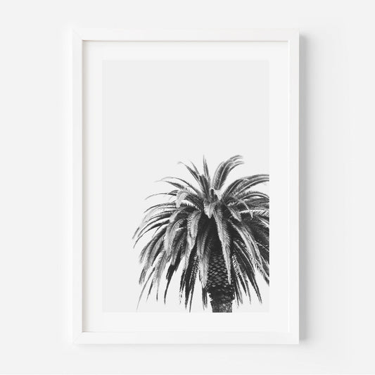 Elegant Black and White Palm Tree Oil Painting for Minimalist Home Decor