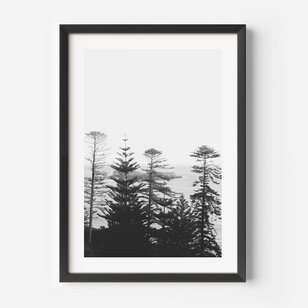 Serene Black and White Coastal Landscape with Majestic Pines