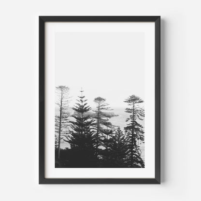 Serene Black and White Coastal Landscape with Majestic Pines