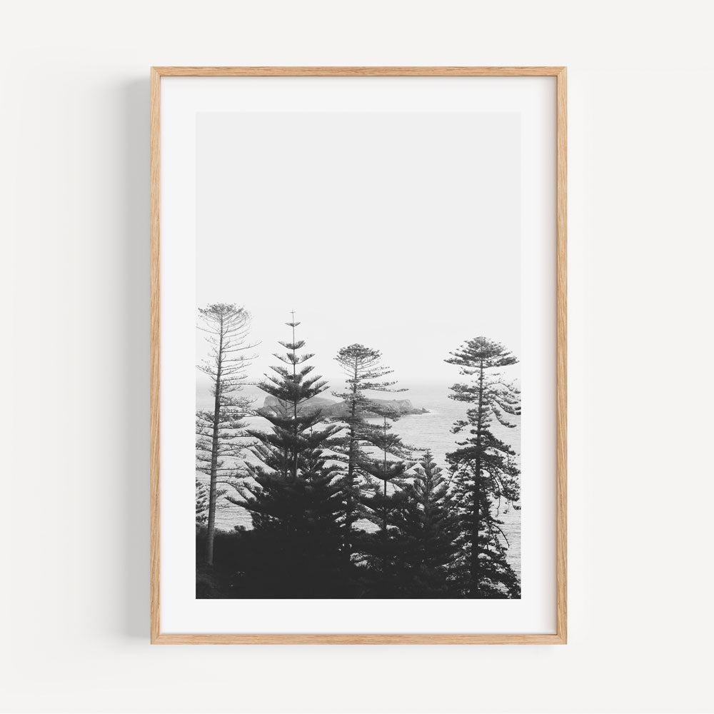 Serene Black and White Coastal Landscape with Majestic Pines