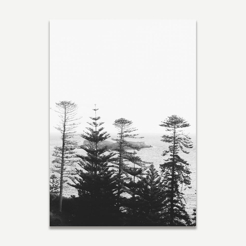 Serene Black and White Coastal Landscape with Majestic Pines