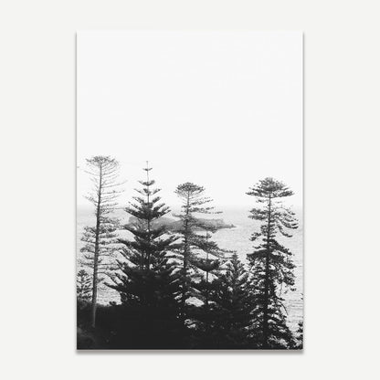 Serene Black and White Coastal Landscape with Majestic Pines