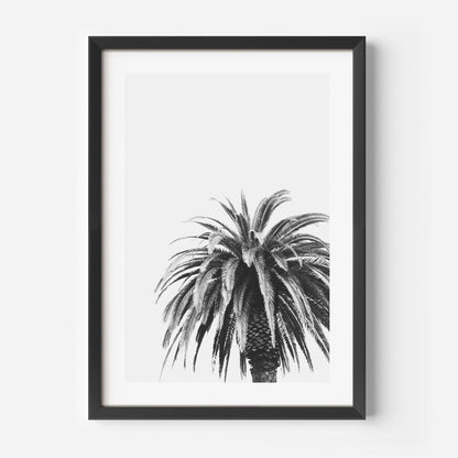Elegant Black and White Palm Tree Oil Painting for Minimalist Home Decor