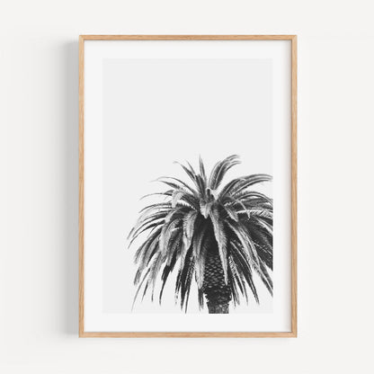 Elegant Black and White Palm Tree Oil Painting for Minimalist Home Decor