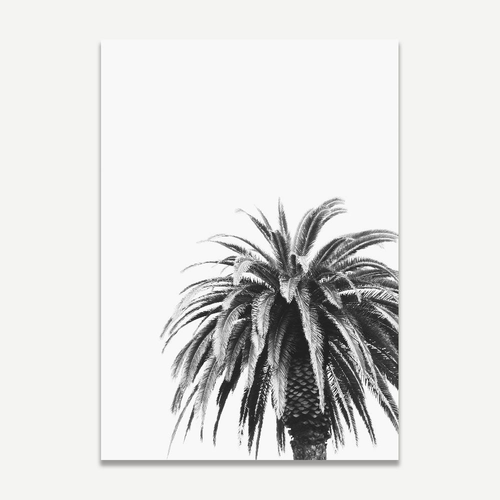 Monochrome Palm Tree Duo - Elegant Black and White Oil Painting Set for Modern Decor