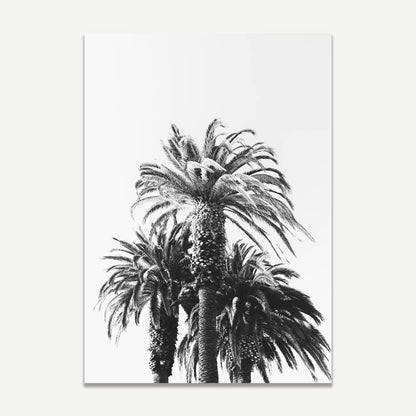 Monochrome Palm Tree Duo - Elegant Black and White Oil Painting Set for Modern Decor