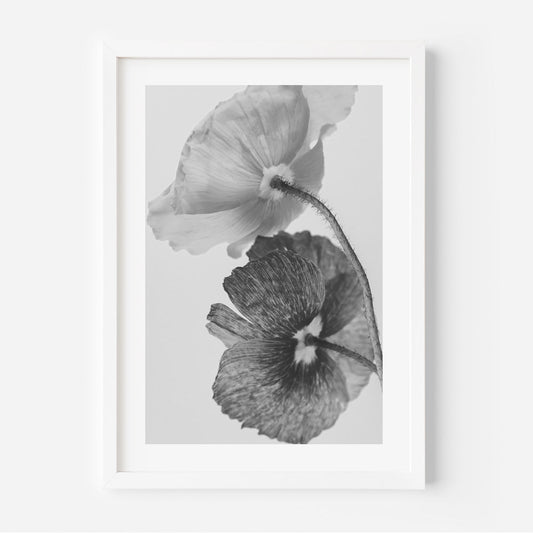 Elegant Black and White Poppy Floral Oil Painting for Home Decor