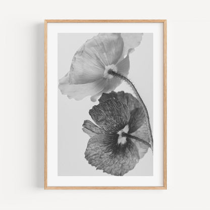Elegant Black and White Poppy Floral Oil Painting for Home Decor
