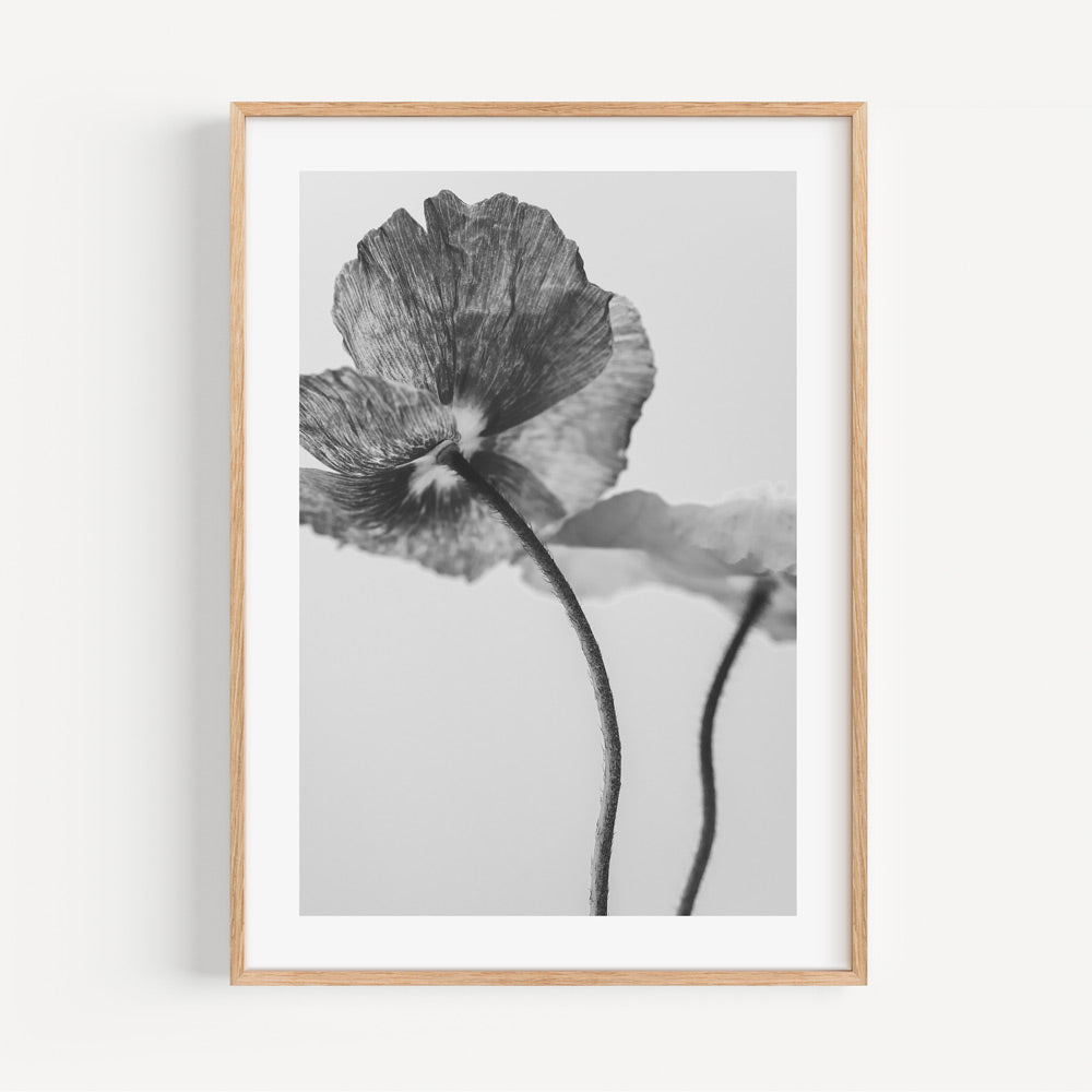 Elegant Black and White Poppies Floral Oil Painting for Modern Home Decor
