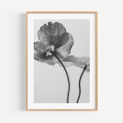 Elegant Black and White Poppies Floral Oil Painting for Modern Home Decor