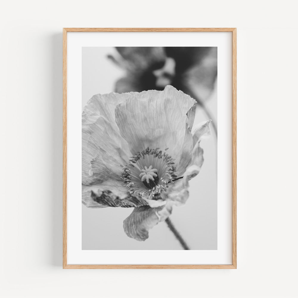 Elegant Black and White Poppy Floral Oil Painting for Home Decor