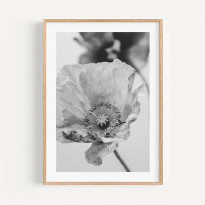Elegant Black and White Poppy Floral Oil Painting for Home Decor