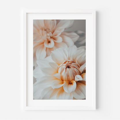 Elegant Dahlia Oil Painting - Soft Floral Art for Joyful Home Decor