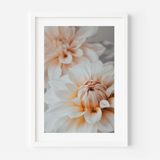 Elegant Dahlia Oil Painting - Soft Floral Art for Joyful Home Decor