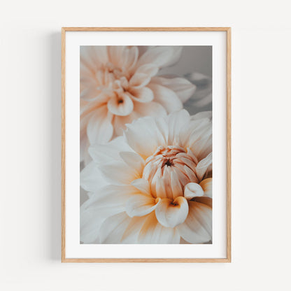Elegant Dahlia Oil Painting - Soft Floral Art for Joyful Home Decor