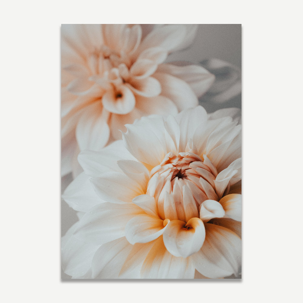 Elegant Dahlia Oil Painting - Soft Floral Art for Joyful Home Decor