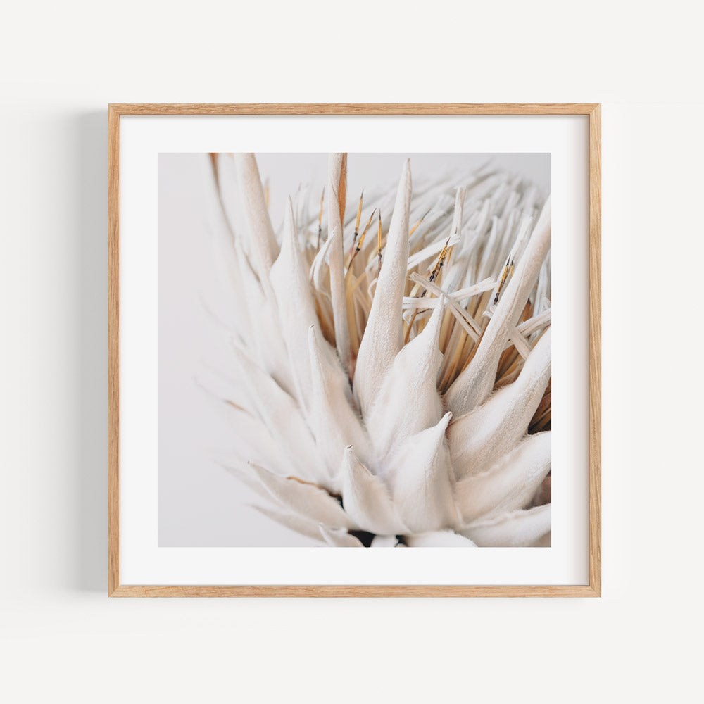 Elegant Dry Protea Floral Oil Painting for Home Decor
