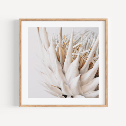 Elegant Dry Protea Floral Oil Painting for Home Decor
