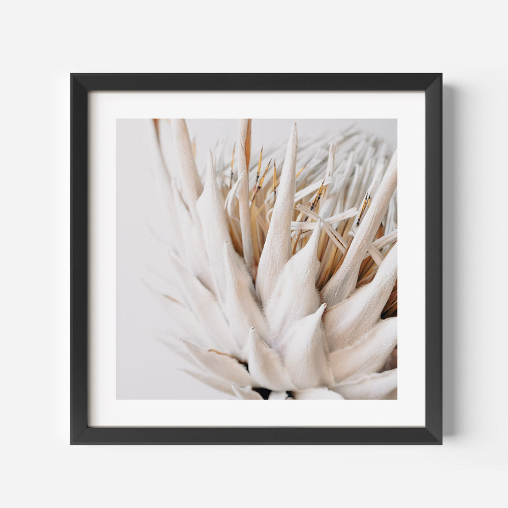 Elegant Dry Protea Floral Oil Painting for Home Decor