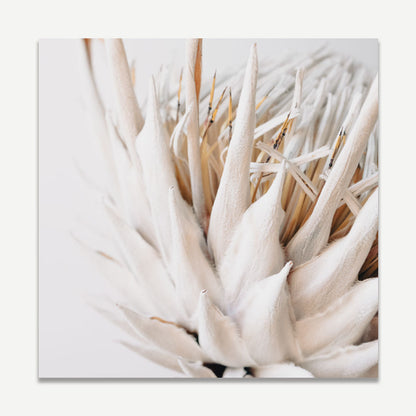 Elegant Dry Protea Floral Oil Painting for Home Decor