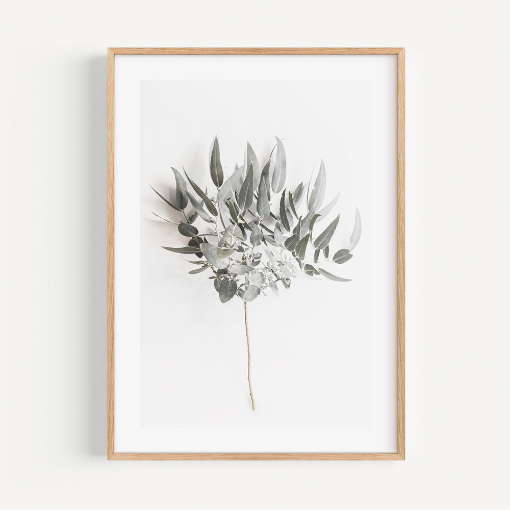 Serene Eucalyptus Oil Painting - Elegant Botanical Art for Modern Decor