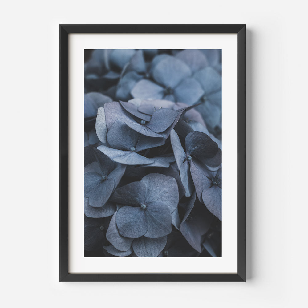 Elegant Blue Hydrangeas - Serene Floral Oil Painting for Home Decor