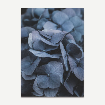 Elegant Blue Hydrangeas - Serene Floral Oil Painting for Home Decor