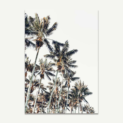 Tropical Kentia Palm Oil Painting for Coastal Home Décor