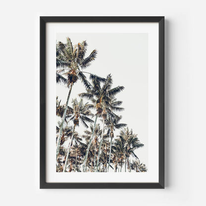 Tropical Kentia Palm Oil Painting for Coastal Home Décor