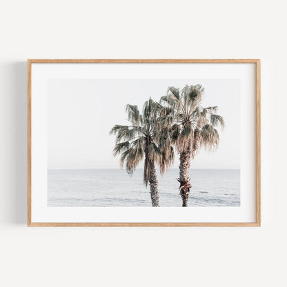 Coastal Serenity: Palm Trees by the Ocean in Soft Ocean Hues