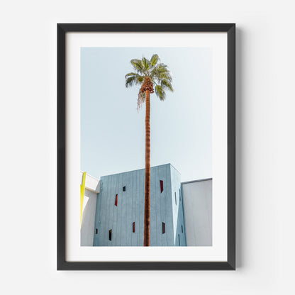 Tropical Palm Tree Against Modern Architecture Oil Painting