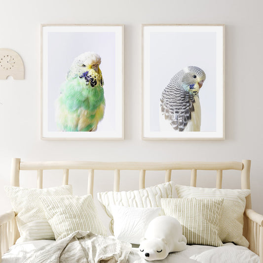 Vibrant Seafoam and Pied Budgerigar Oil Painting Duo for Modern Home Decor