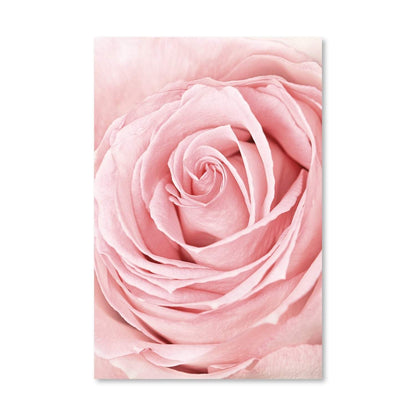Elegant Pink Rose Oil Painting - Floral Wall Art for Home Decor