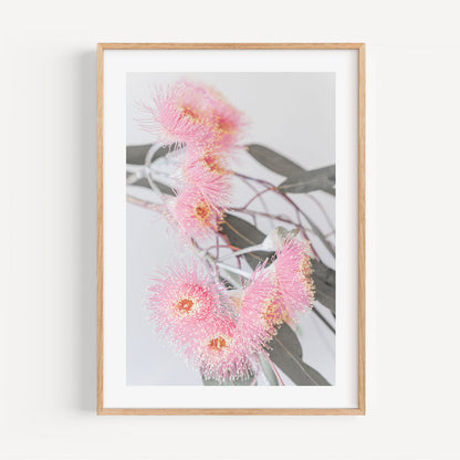 Vibrant Pink Eucalyptus Botanical Oil Painting for Modern Home Decor