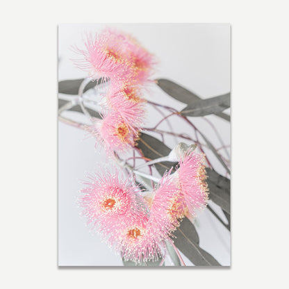 Blossoming Pink Eucalyptus Diptych - Modern Floral Oil Paintings for Elegant Home Decor