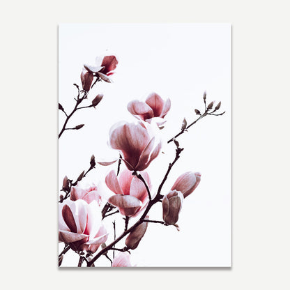 Elegant Pink Magnolia Oil Painting Set for Home Decor - Vibrant Floral Artwork
