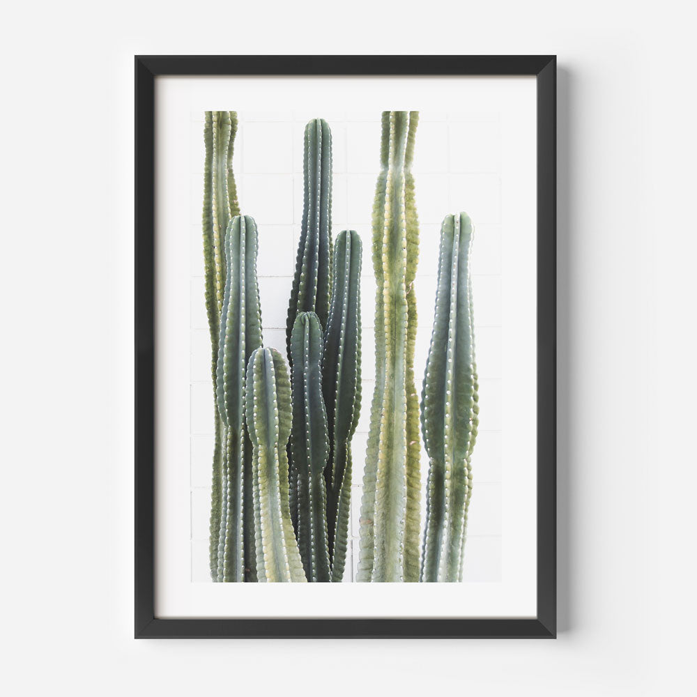 Stunning Torch Cactus Oil Painting for Modern Home Decor