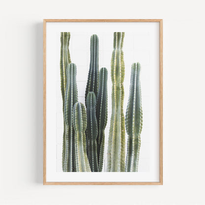 Stunning Torch Cactus Oil Painting for Modern Home Decor