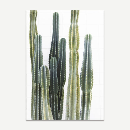 Stunning Torch Cactus Oil Painting for Modern Home Decor