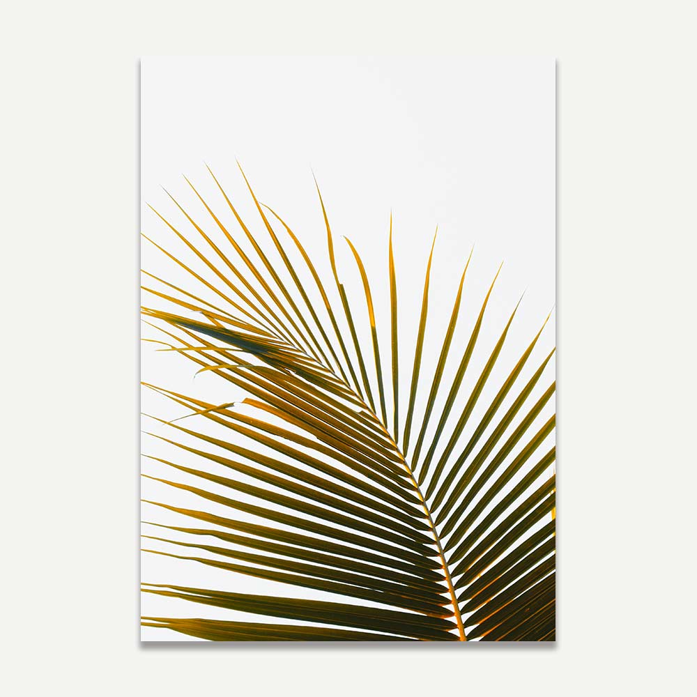 Tropical Frond Art Prints - Elegant Wall Décor for Modern Interiors