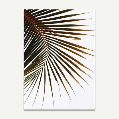 Tropical Frond Art Prints - Elegant Wall Décor for Modern Interiors