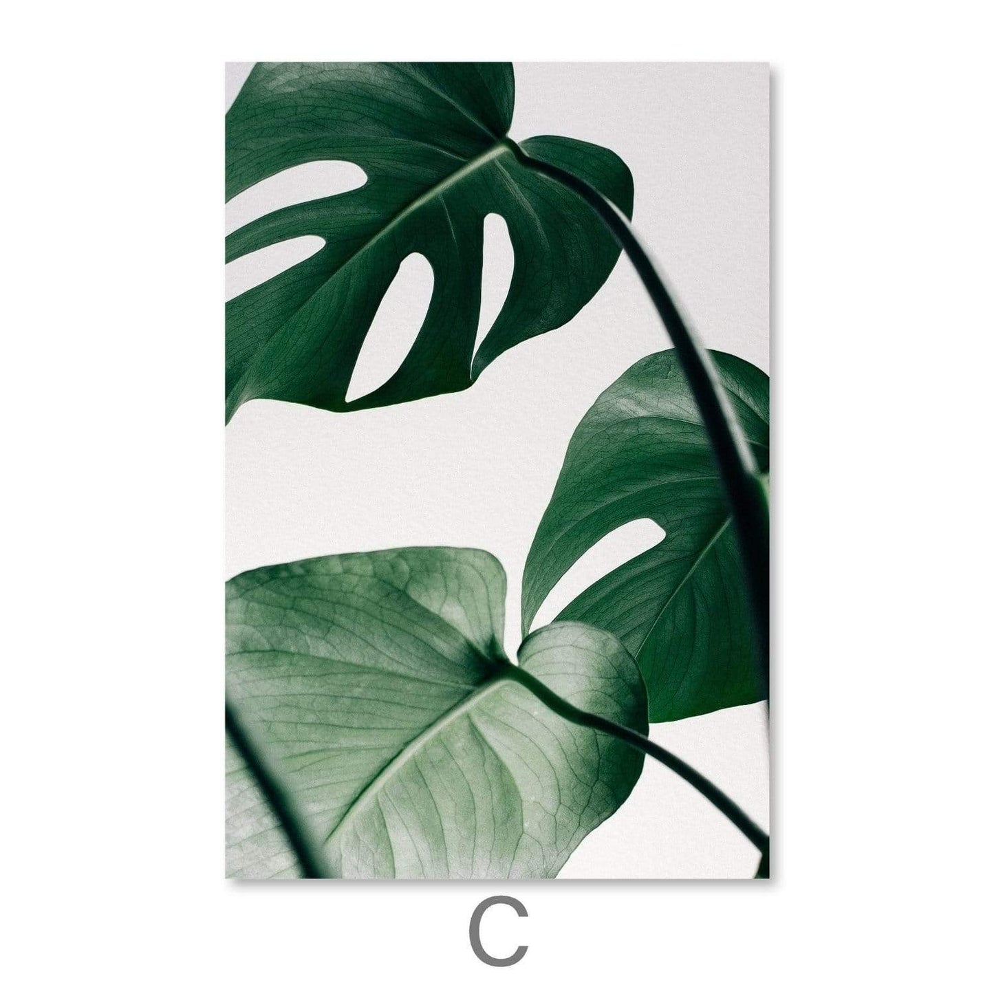 Tropical Monstera Leaf Oil Painting for Modern Home Decor