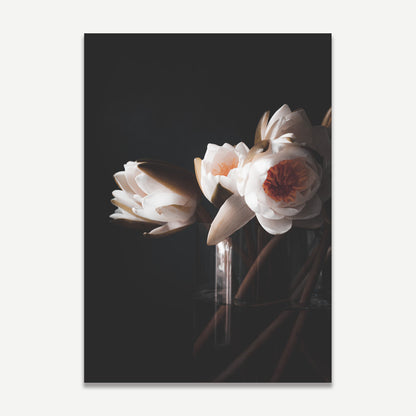 Elegant Water Lily Oil Paintings - Set of 2 for Modern Home Decor