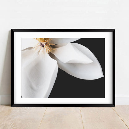 Elegant White Magnolia Oil Painting for Floral Decor and Home Art