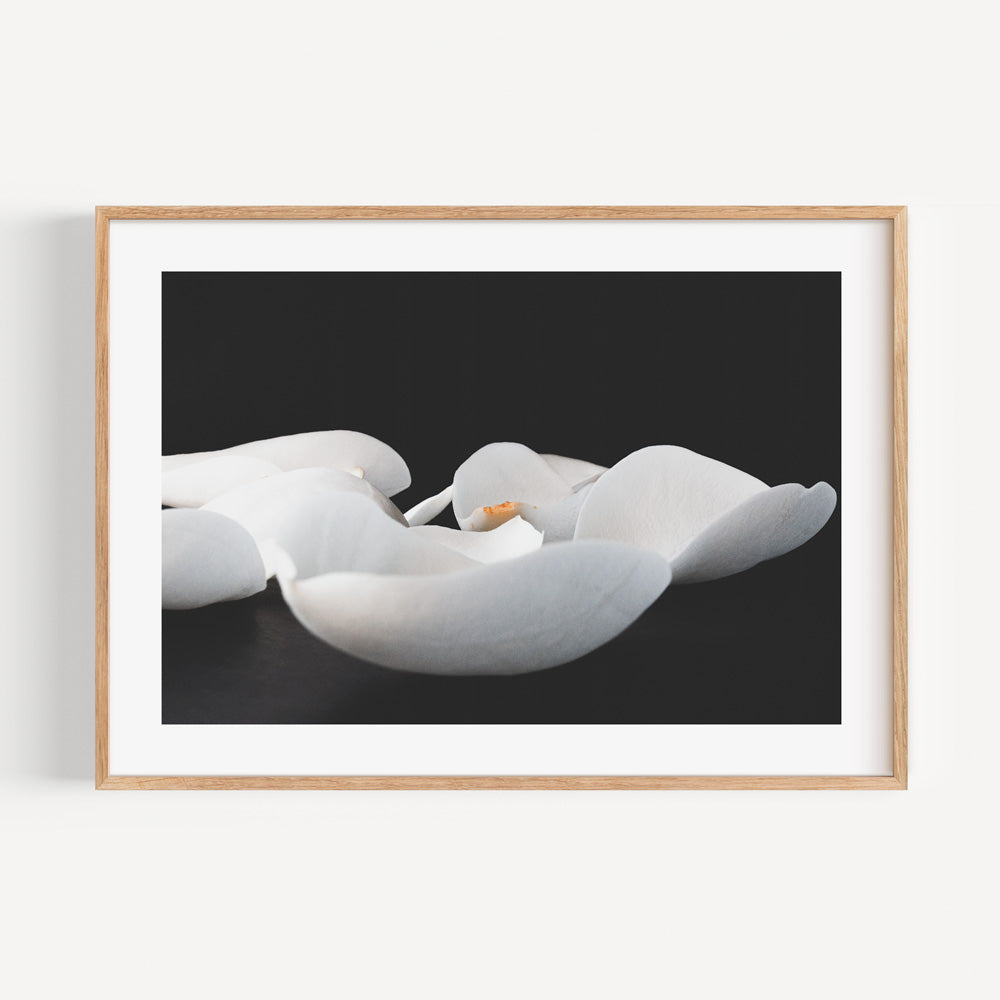Elegant White Magnolia Art - Stunning Floral Oil Painting for Home Decor