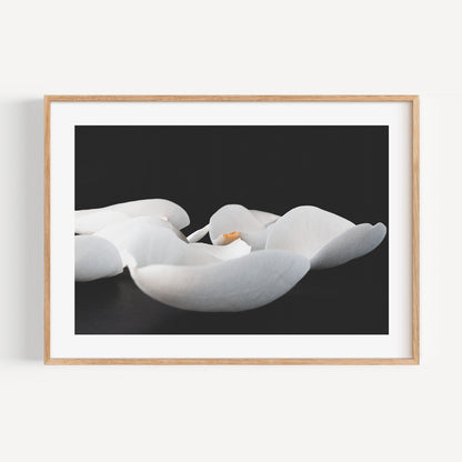 Elegant White Magnolia Art - Stunning Floral Oil Painting for Home Decor