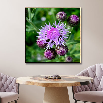 Vibrant Purple Thistle Oil Painting for Floral Home Decor